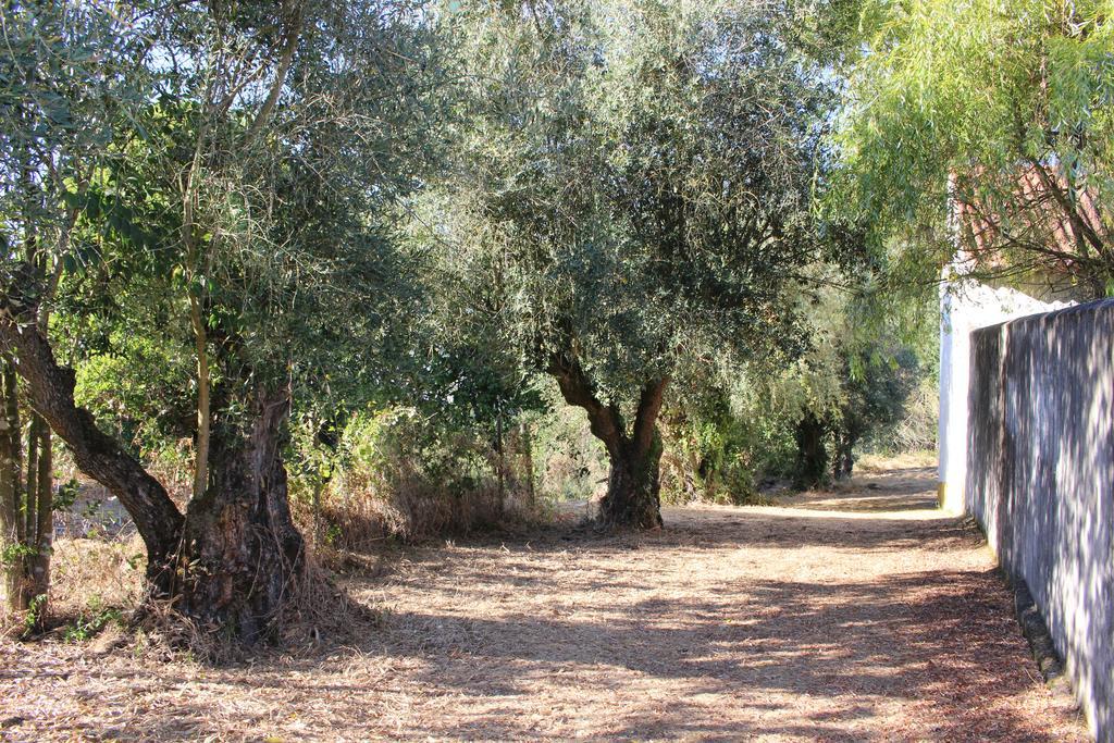 Quinta Do Valle Tomar Exteriér fotografie