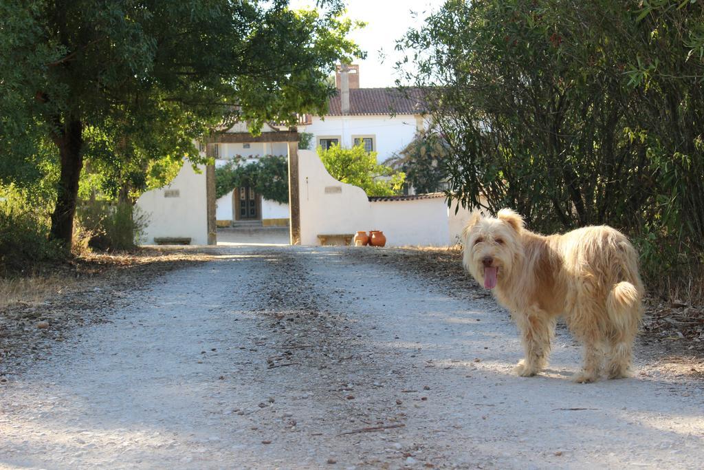 Quinta Do Valle Tomar Exteriér fotografie